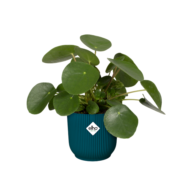 Vaso de flores redondo dobrável Vibes azul escuro Elho 22 cm