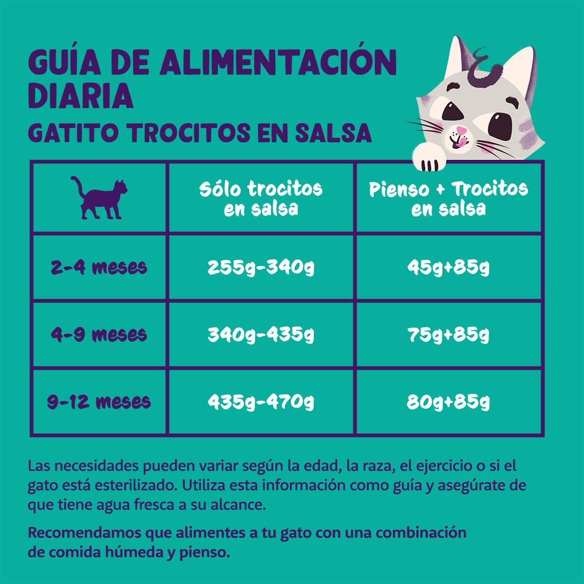 Edgard &amp; Cooper Ração Húmida para Gatos com Molho Salmão e Pedaços de Frango 85g