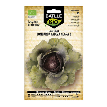 Sementes de couve roxa com cravo biológico Batlle 2