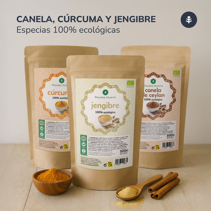 Cúrcuma em pó ECO Planeta Huerto 500 g