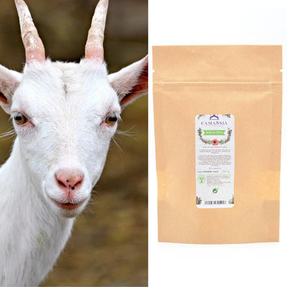 Leite de cabra em pó Camassia, 100 g