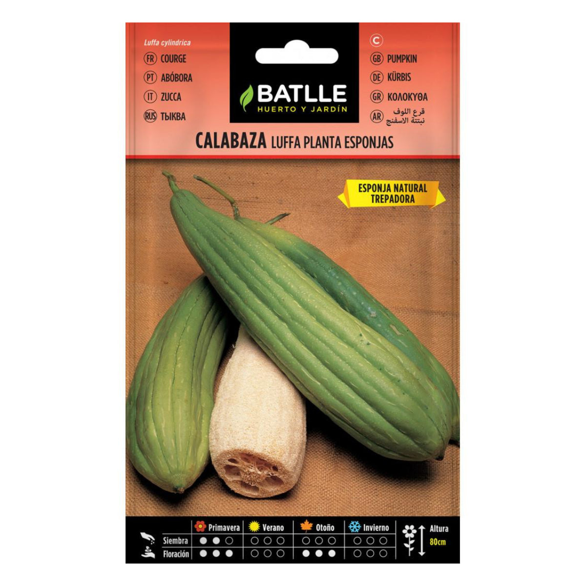 Sementes de abóbora Batlle Luffa