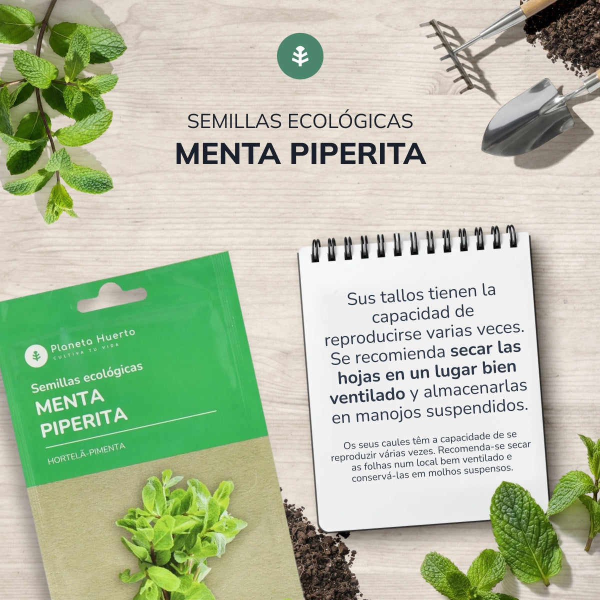Sementes de hortelã-pimenta biológica da Planeta Huerto