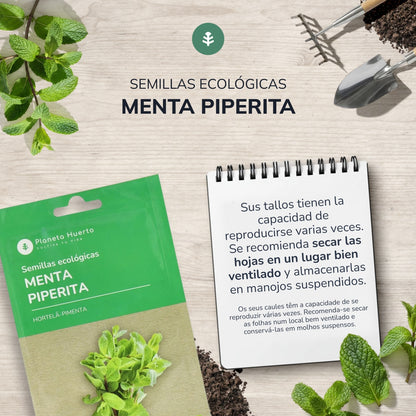 Sementes de hortelã-pimenta biológica da Planeta Huerto