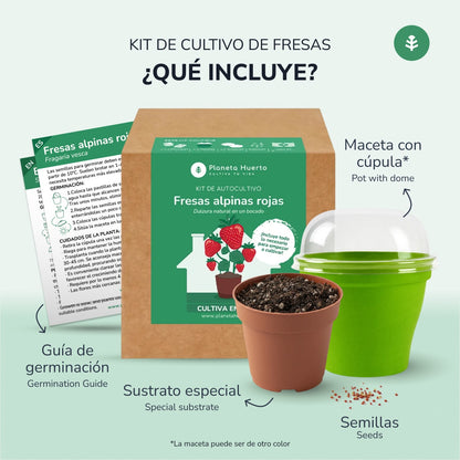 Kit de autocultivo de morangos vermelhos alpinos Planeta Huerto