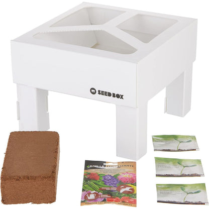Kit de cultivo infantil para batalha de sementes