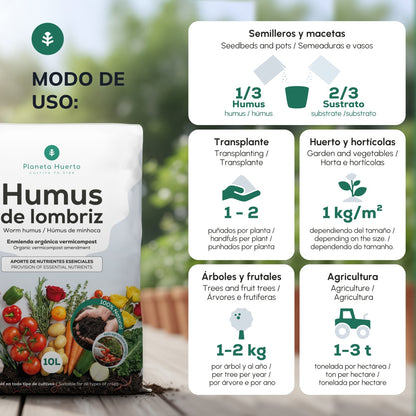 Pack grande “Mi mesa de cultivo de otoño”