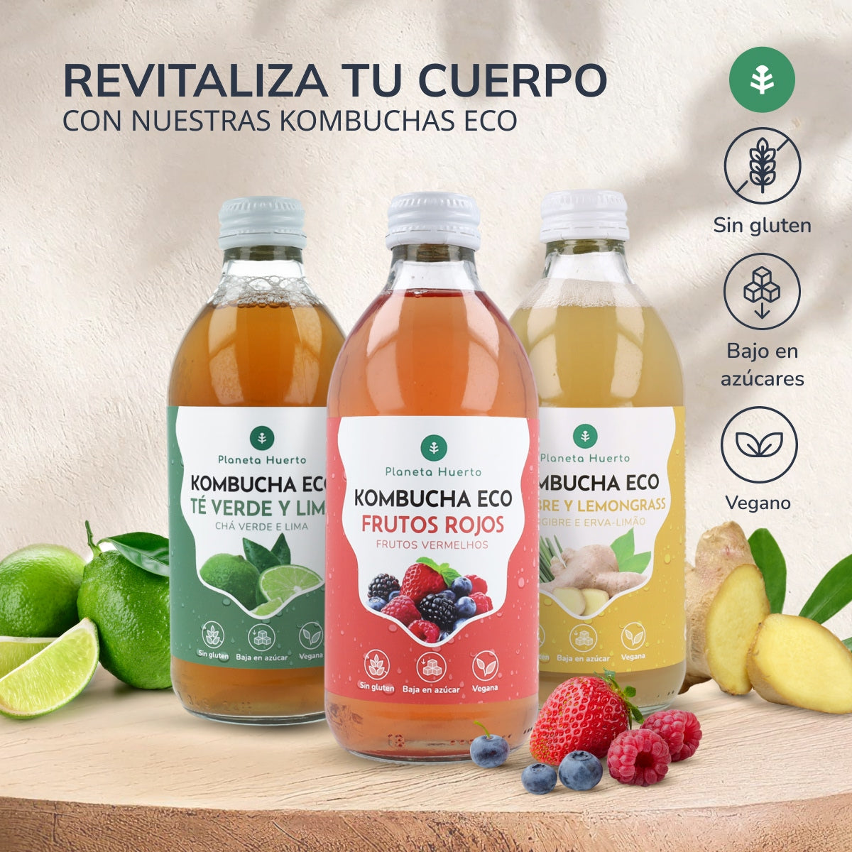 Kombucha ECO Gengibre e erva-príncipe Planeta Huerto 330 ml