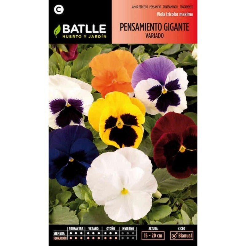 Sementes de Amor-Perfeito Gigante Variegada Batlle