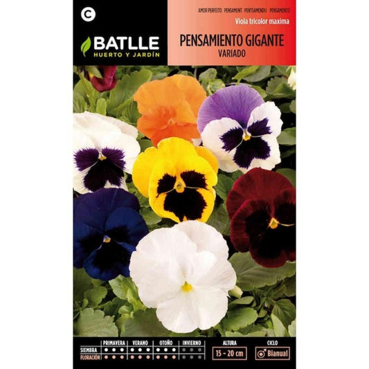 Sementes de Amor-Perfeito Gigante Variegada Batlle