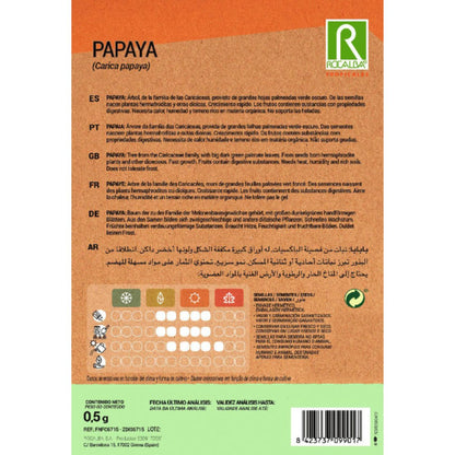 Sementes de papaia Carica papaya