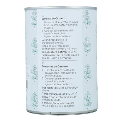 Kit de cultivo aromático Coentro Planeta Huerto