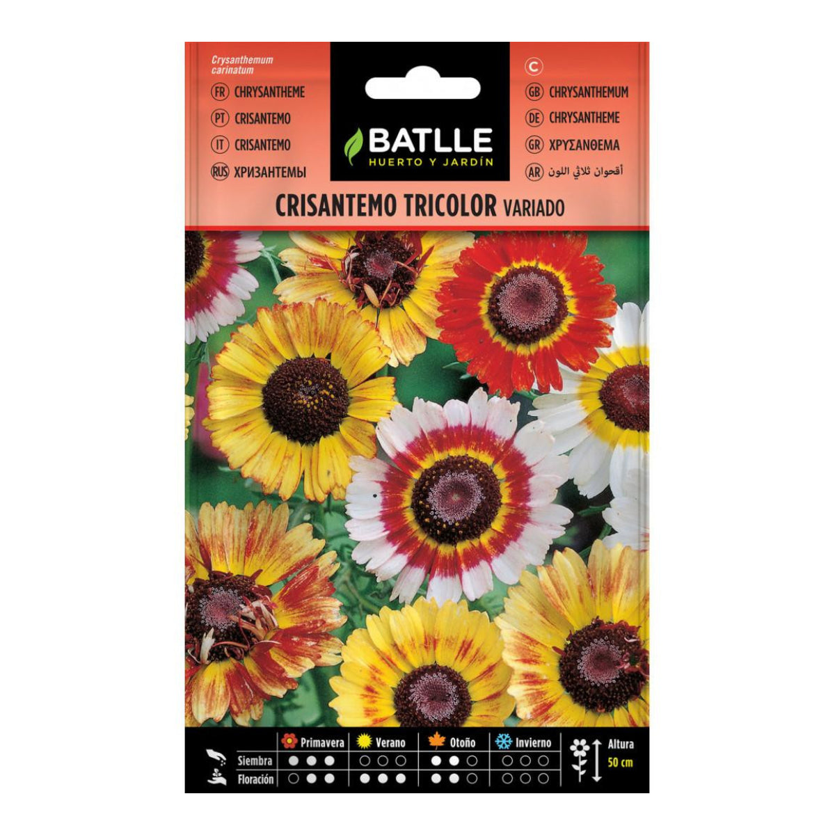 Sementes de crisântemo tricolor Batlle