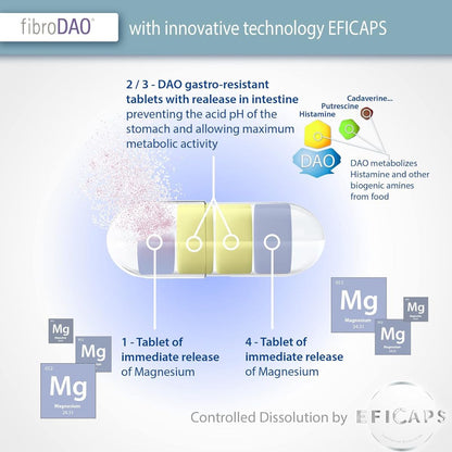 fibroDAO® 60 cápsulas com comprimidos gastrorresistentes
