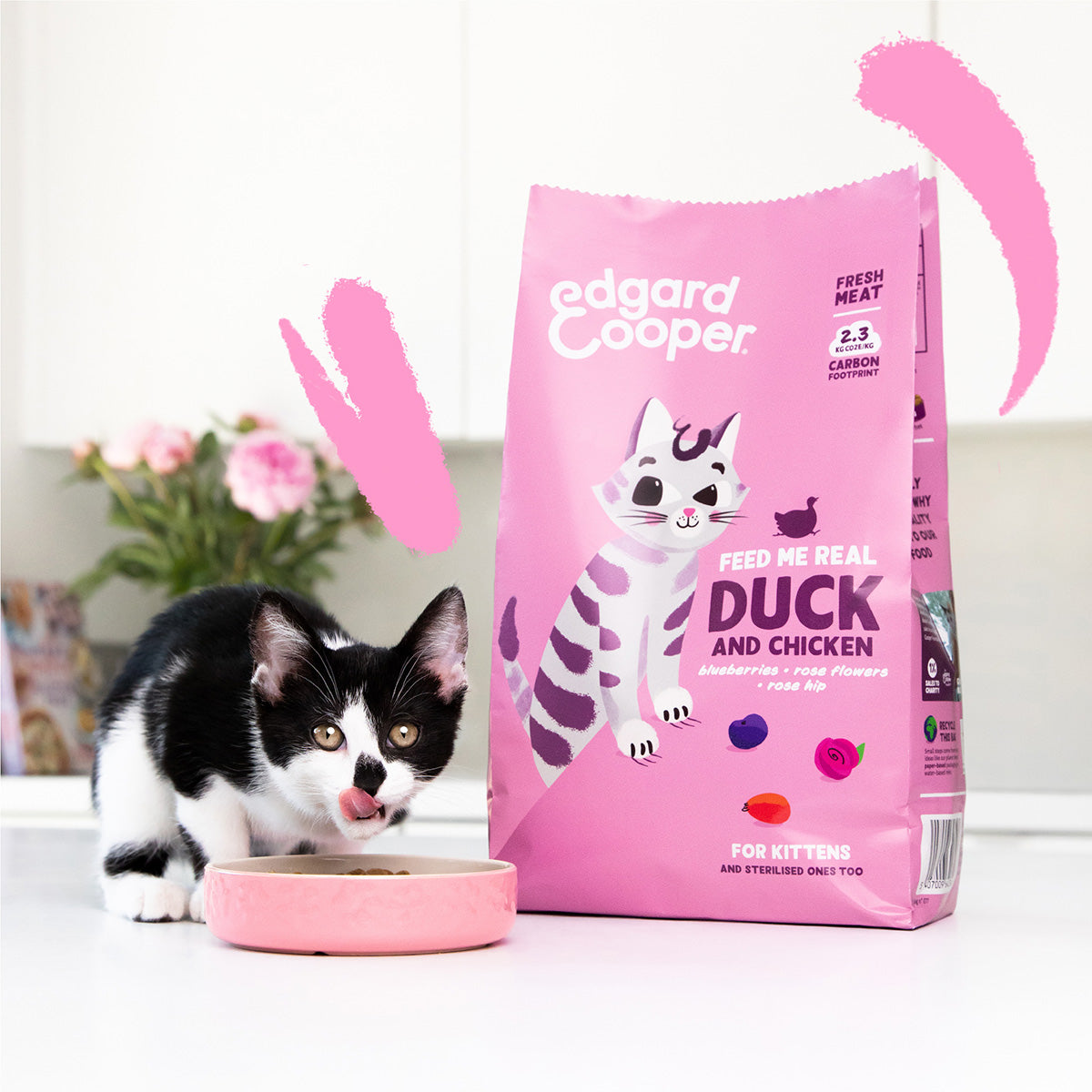 Edgard &amp; Cooper Fresh Duck and Chicken Ração para gatos gatinhos 2 kg