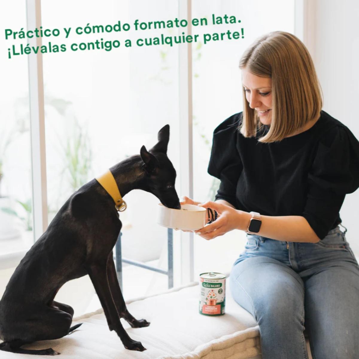 Embalagem de 6 unidades de ensopado de salmão e porco Wild Balance Fisherman's para cães 400 g