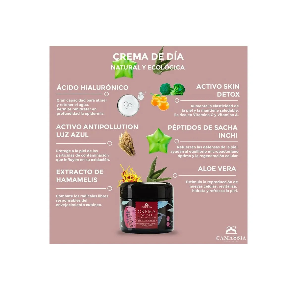 Crema de Día Natural Antiedad, Camassia, 50ml
