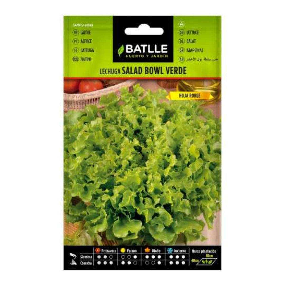 Taça de salada verde Batlle com sementes de alface