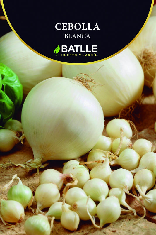 Bulbillo cebolla blanca 200g