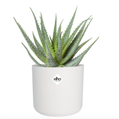 B. para vaso redondo macio Elho branco 30 cm
