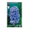 Bolbos de Jacinto Azul 3 unidades
