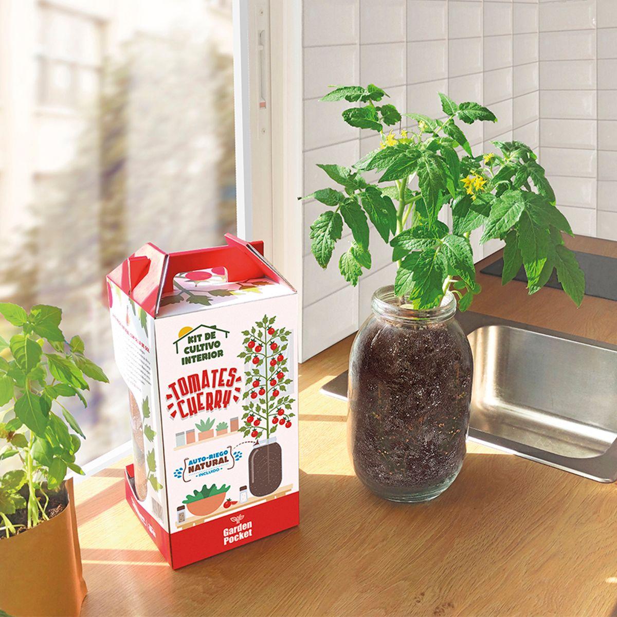 Kit de cultivo interior para tomate cereja