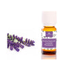 Óleo essencial de lavanda, Camassia 30 ml