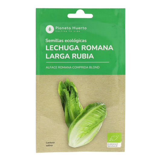 Sementes de alface romana biológica da Planeta Huerto