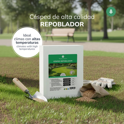 Sementes de Relva Repovoadora Planeta Huerto 1 kg