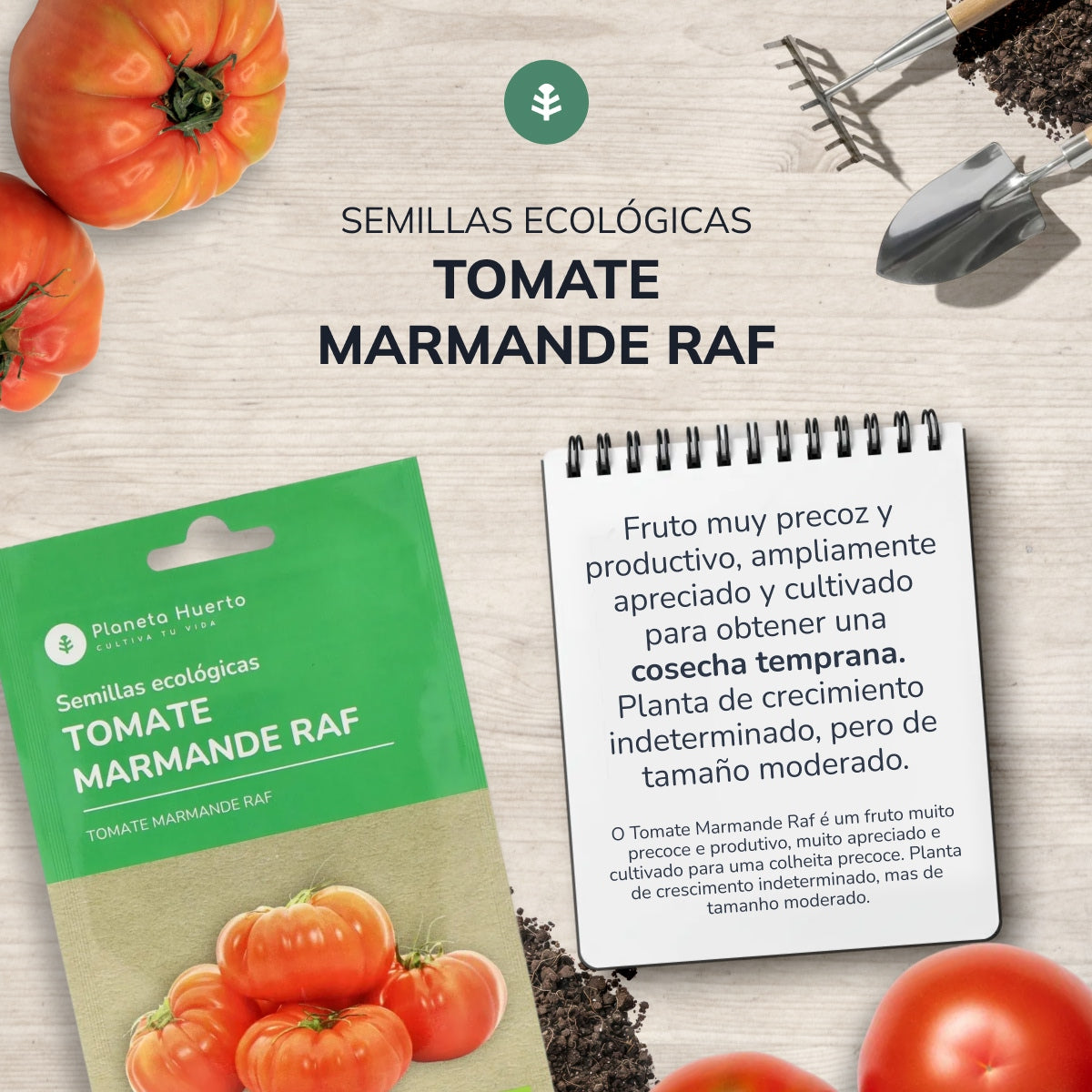 Sementes de tomate Marmande Raf biológicas Planeta Huerto
