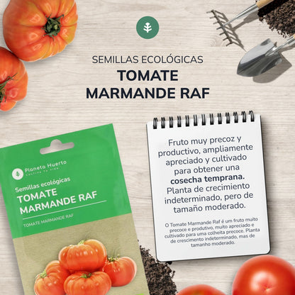 Sementes de tomate Marmande Raf biológicas Planeta Huerto