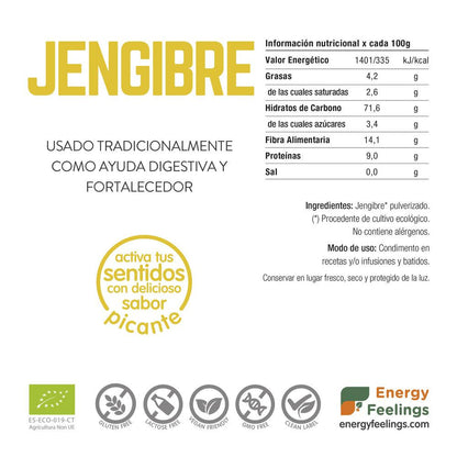 Jengibre ECO en polvo Energy Feelings 200 g