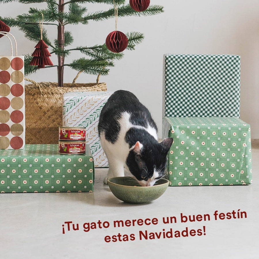 Wild Balance Receita de Natal BARF para Gatos Lata 120g