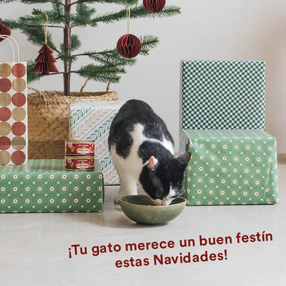Wild Balance Receita de Natal BARF para Gatos Lata 120g