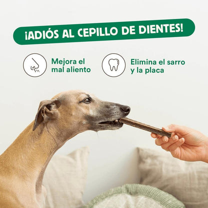 Pacote de etiquetagem para animais de estimação Wild Balance