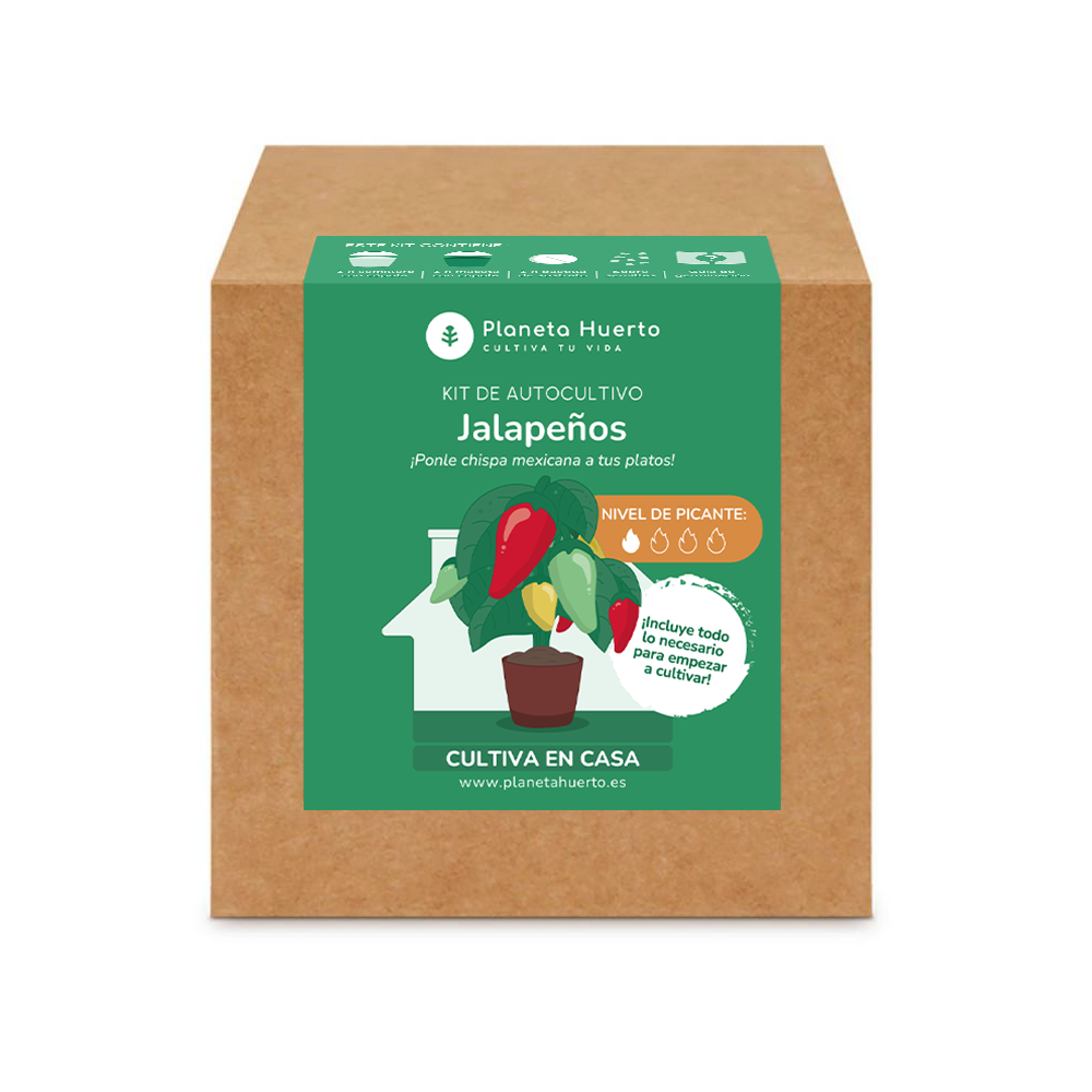 Kit de autocultivo Jalapeño Planeta Huerto