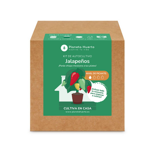 Kit de autocultivo Jalapeño Planeta Huerto