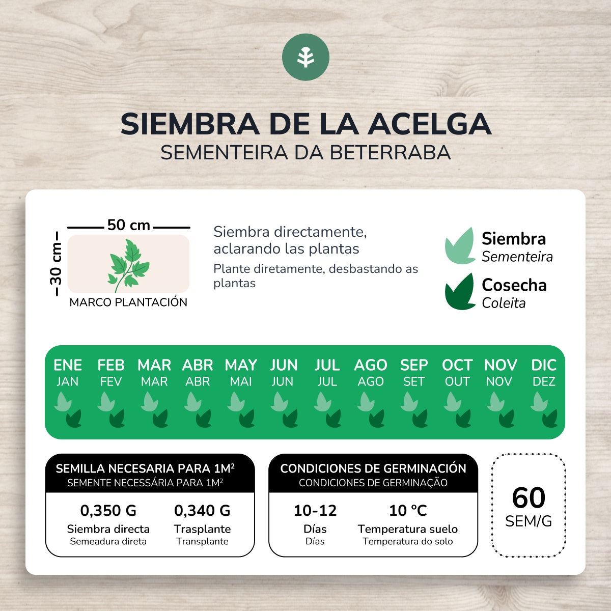 Sementes de acelga verde biológica Planeta Huerto