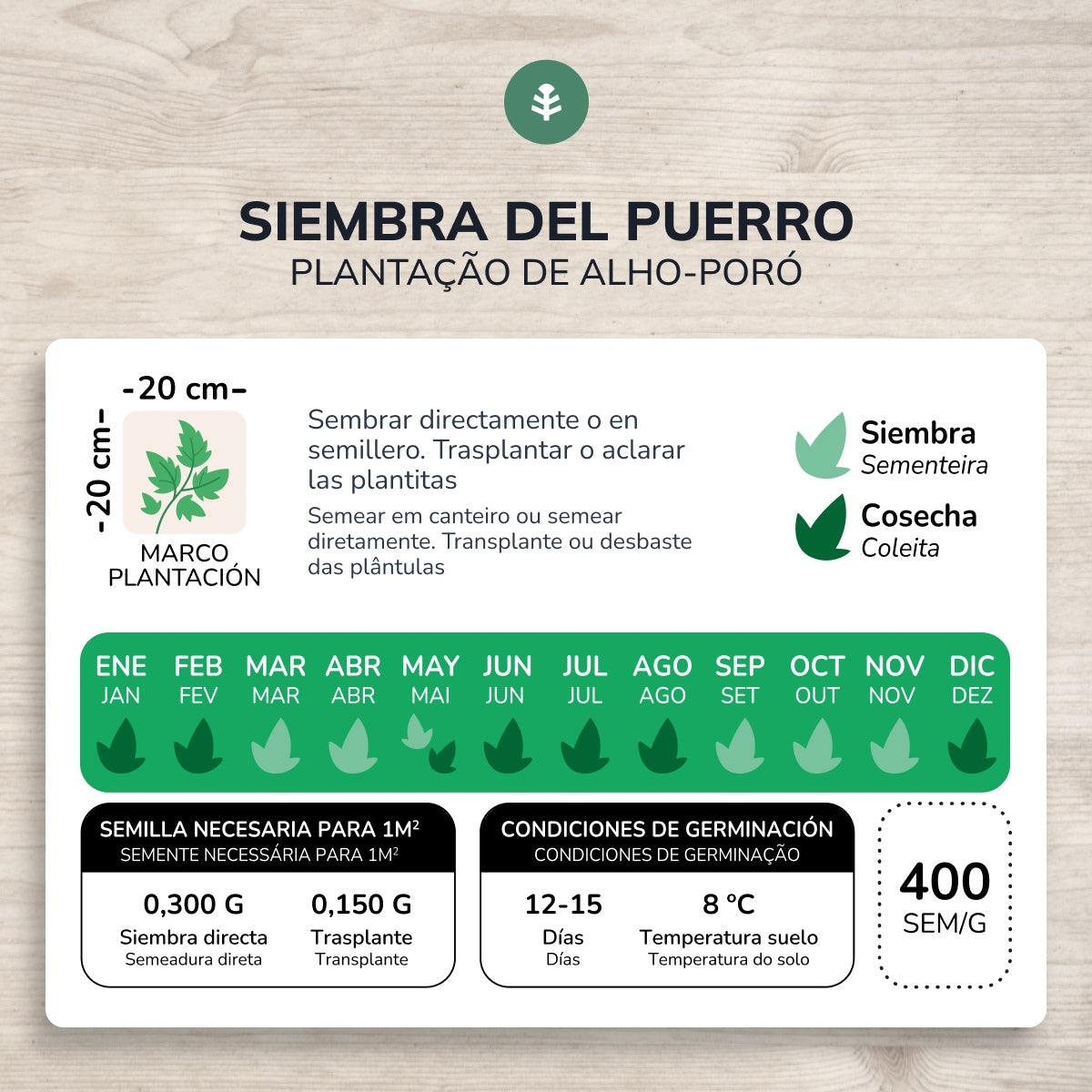 Sementes de alho-francês grossas biológicas Carentan da Planeta Huerto