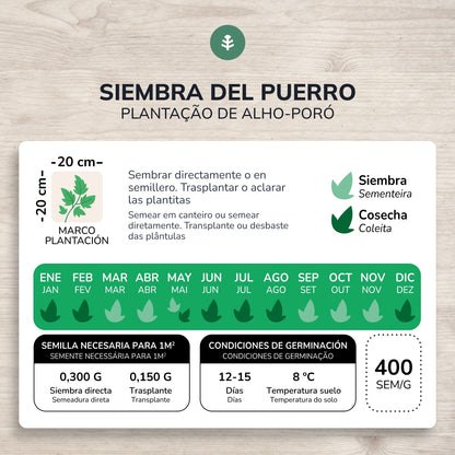 Sementes de alho-francês grossas biológicas Carentan da Planeta Huerto