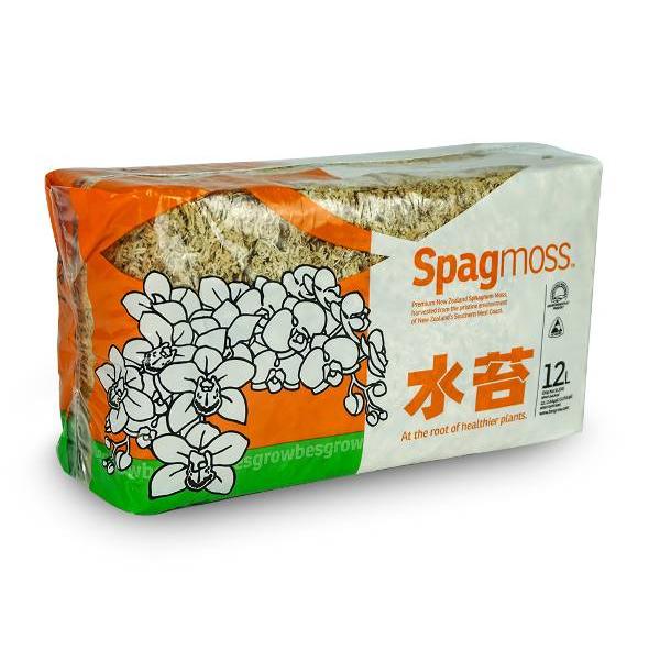 Substrato de musgo de esfagno para bonsai 150 g