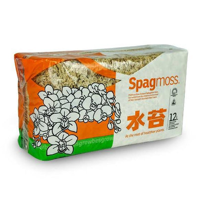 Substrato de musgo de esfagno para bonsai 150 g