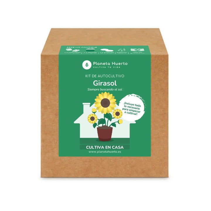 Kit de autocultivo girassol Planeta Huerto
