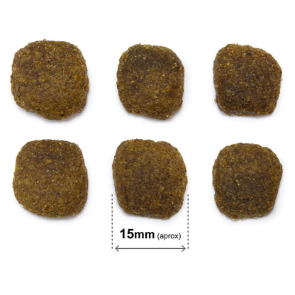 Ração para cães Arquivet Original Salmão e Arroz 12 Kg 12 kg