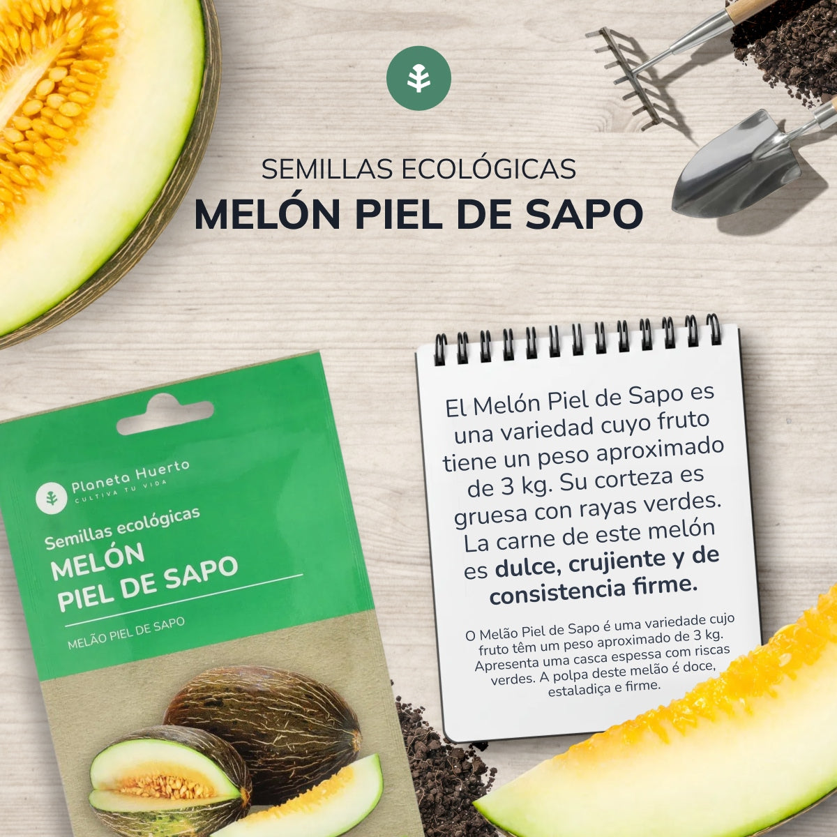Sementes de Melão Piel de Sapo Biológicas Planeta Huerto