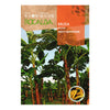 Musa, sementes de banana Rocalba