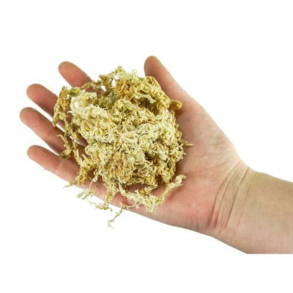 Substrato de musgo de esfagno para bonsai 150 g