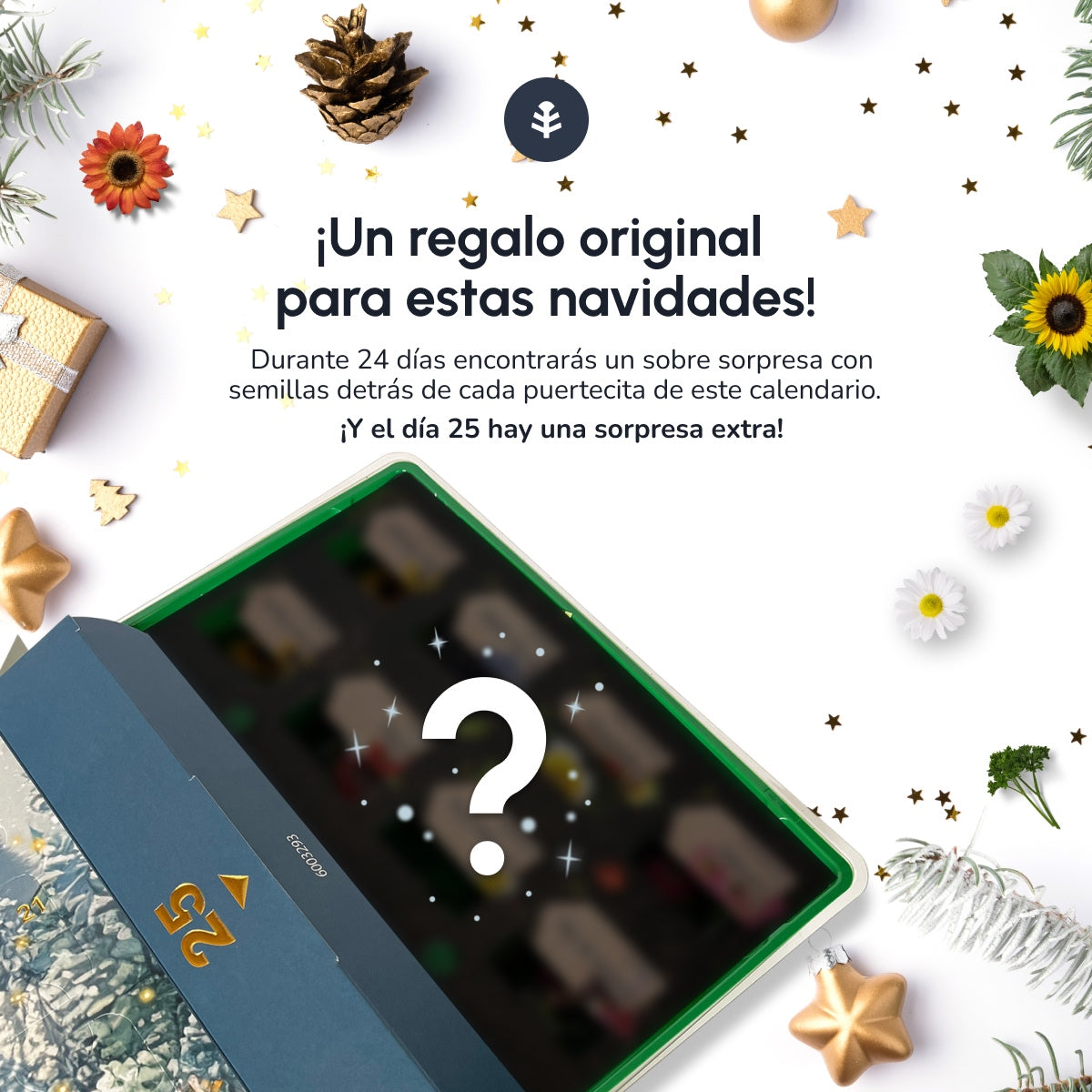 Calendário de Advento de Natal com sementes e mini estufa Planeta Huerto