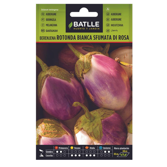 Sementes de beringela Rotonda Bianca Sfumata di Rosa Batlle