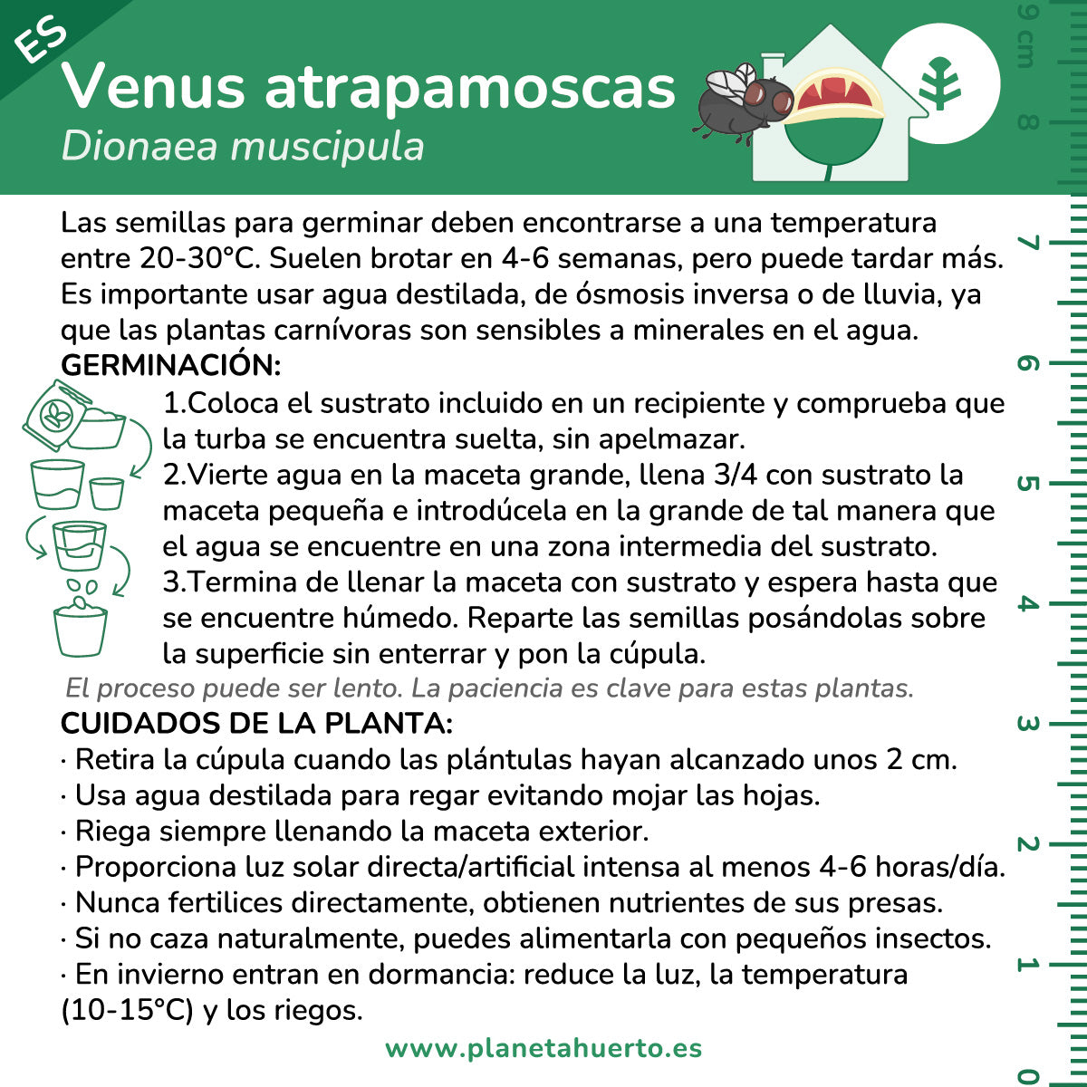 Kit de autocultivo para planta carnívora de dioneia Planeta Huerto